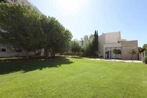 Jardines Club Diario de Mallorca