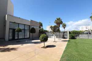 Jardines Club Diario de Mallorca