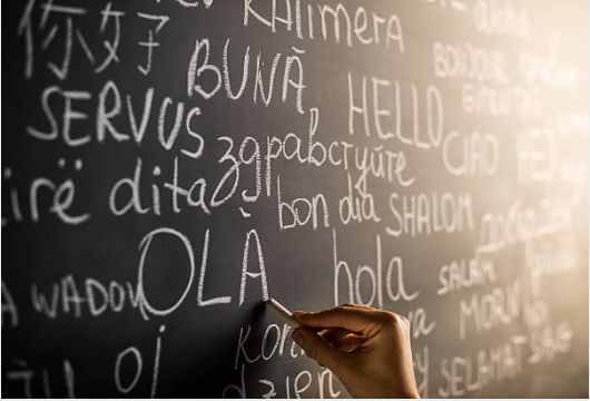 L’acollida lingüística a les comunitats bilingües